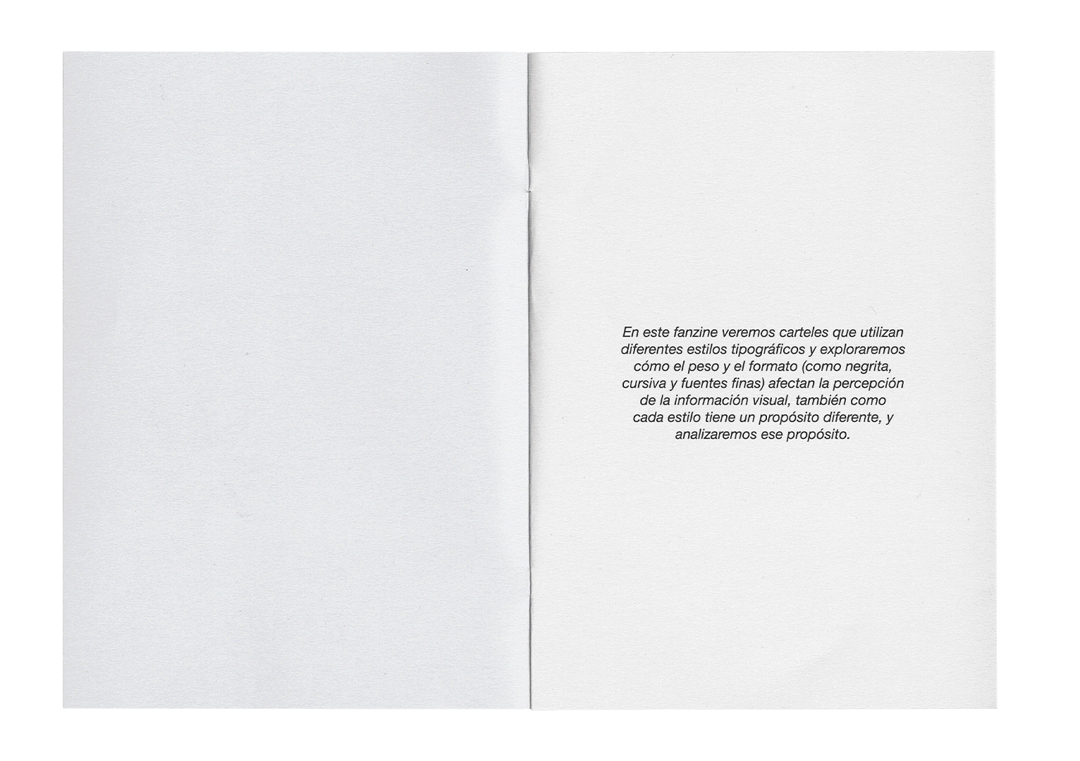 Vista abierta de un fanzine con portadas de carteles tipográficos
