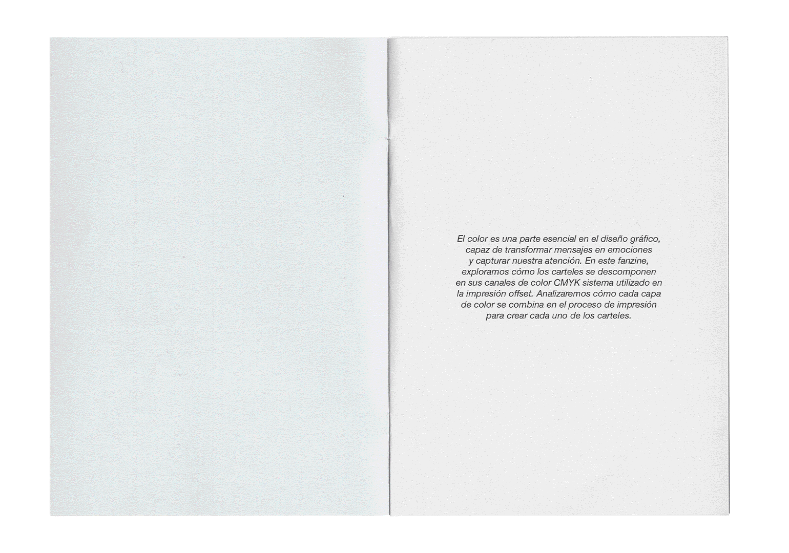 Vista abierta de un fanzine con la deconstrucción de colores en los diseños