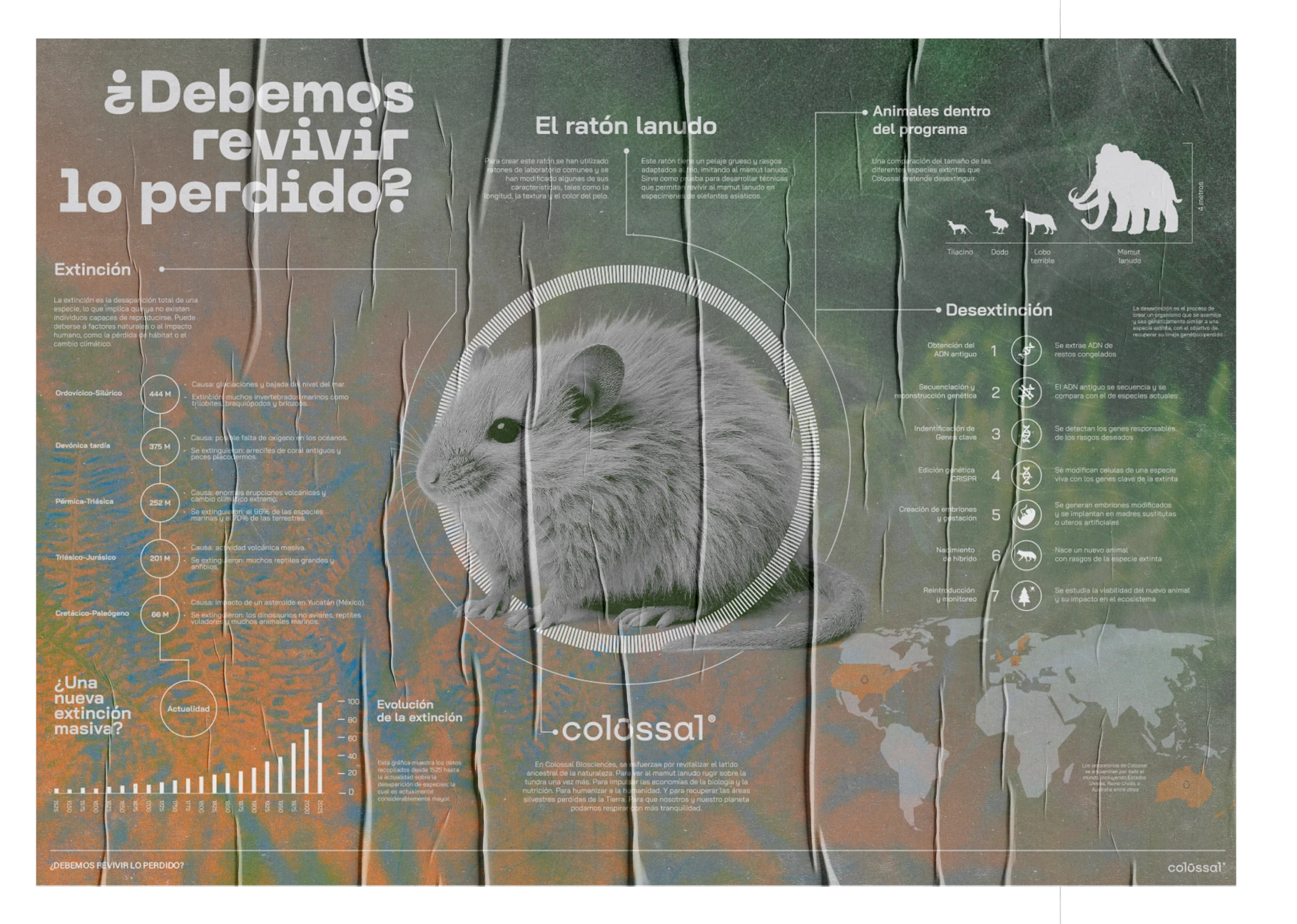 Vista superior de un póster con efecto arrugado, degradado de naranja a verde y un ratón blanco en el centro