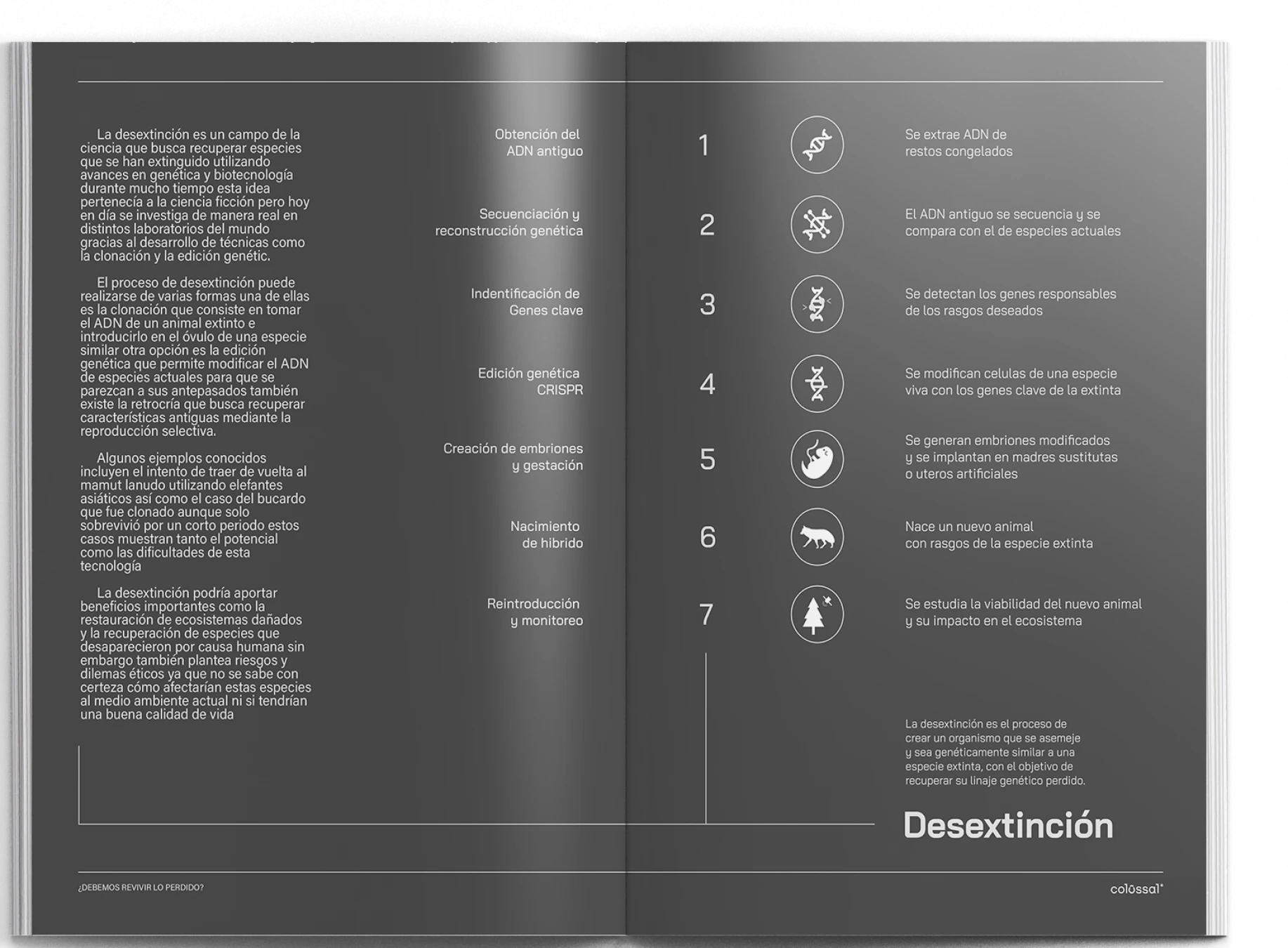 Pliego abierto de revista de información en color blanco sobre fondo negro