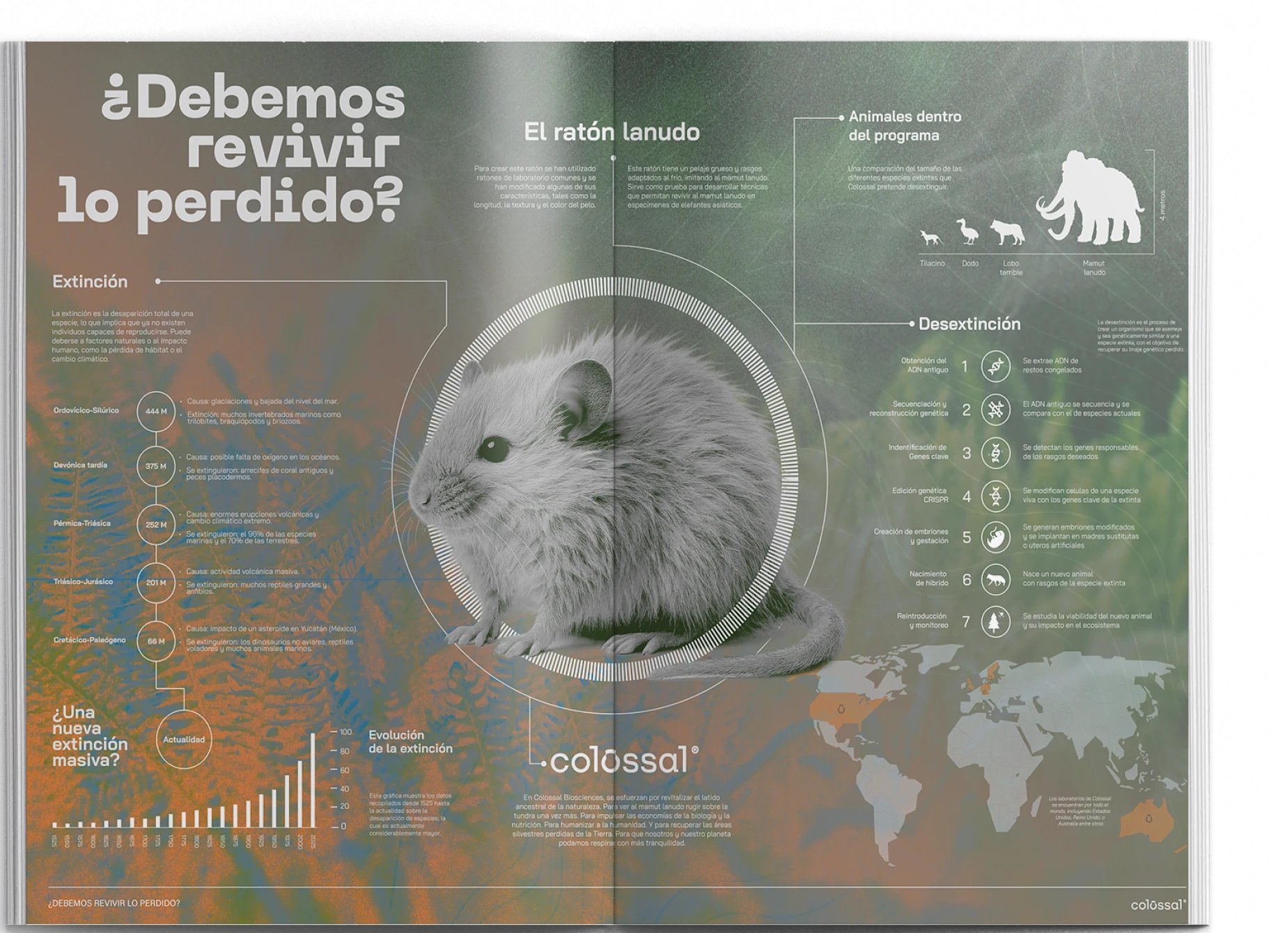 Pliego de revista de fondo degradado de naranja a verde con raton balnco en el centro